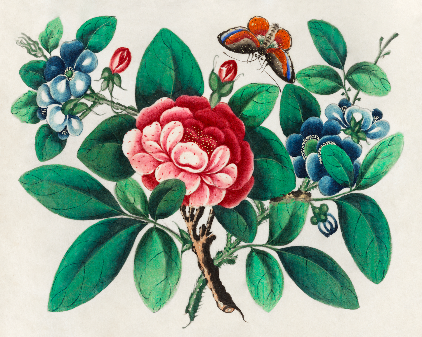 Flowers & a Butterfly I Antique Art Print