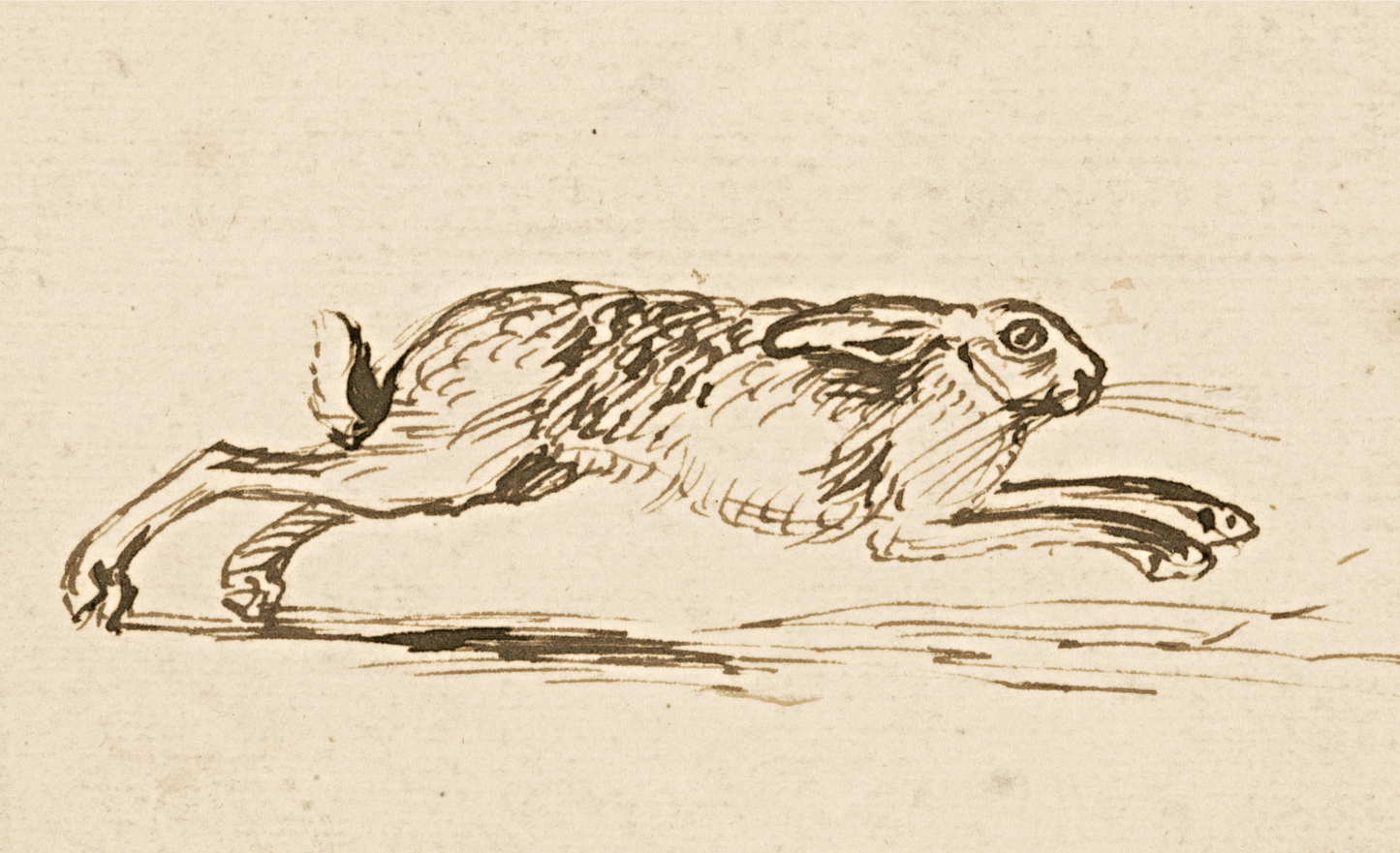 A Hare Running, with Ears Laid Back Print