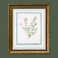 18th c. Florals III Antique Art Print