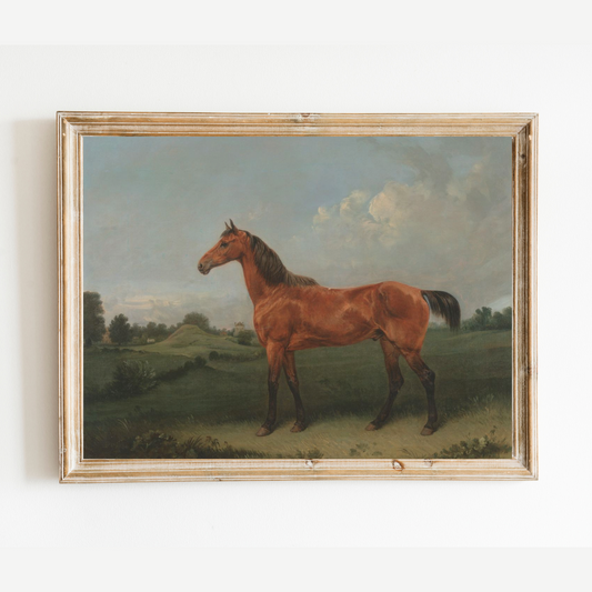 British Bay Horse Antique Art Print