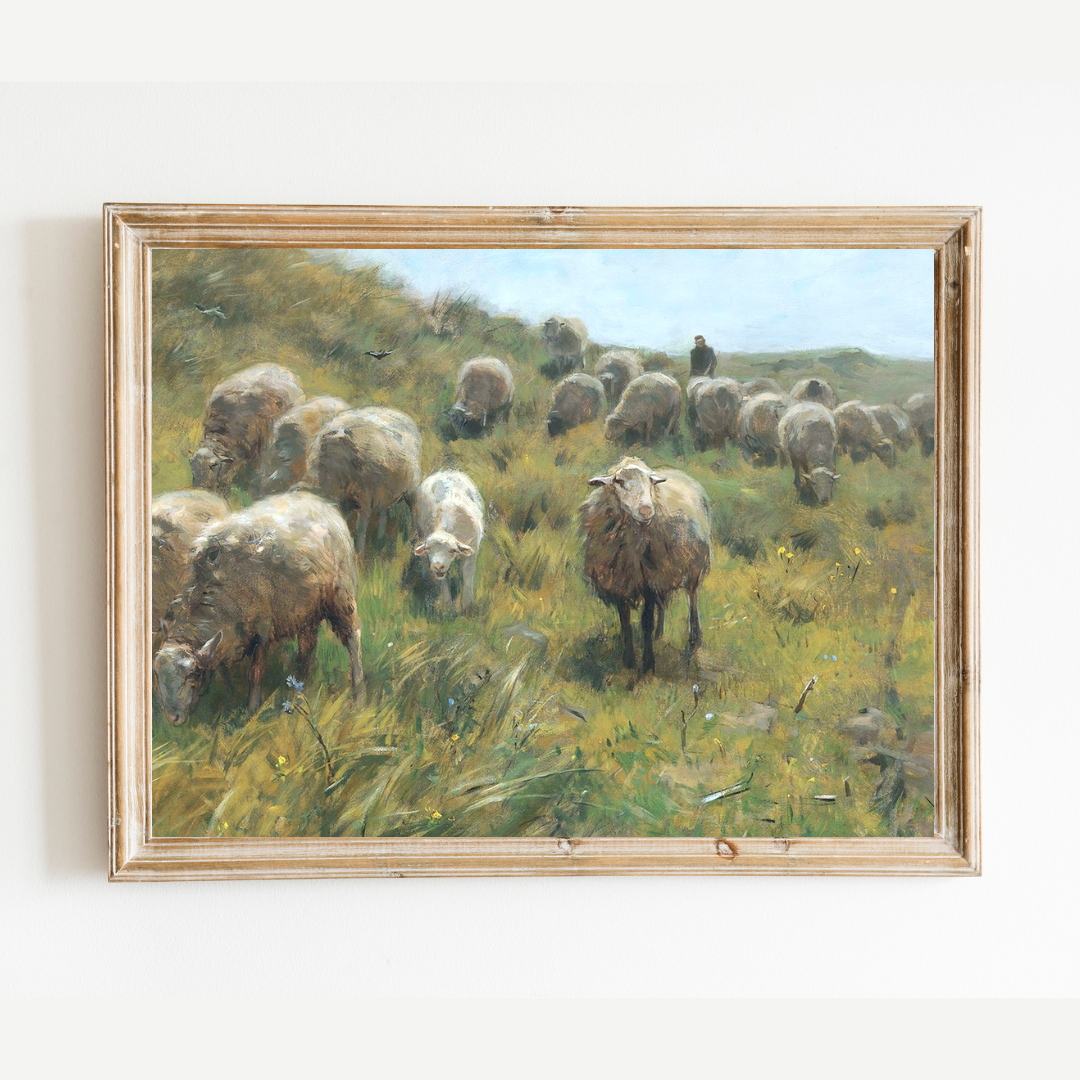 Sheep with Shepherd Antique Art Print