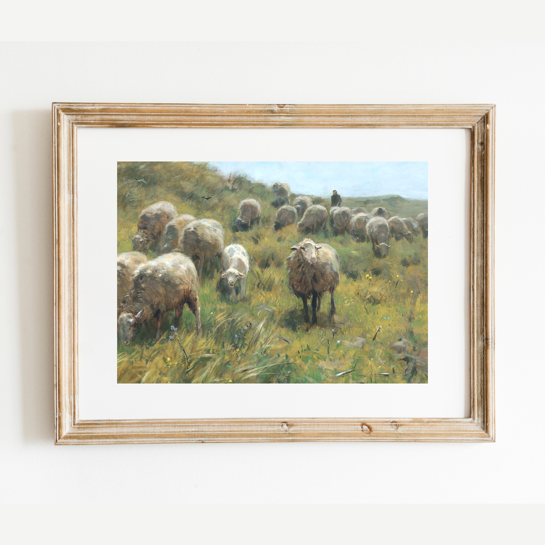 Sheep with Shepherd Antique Art Print