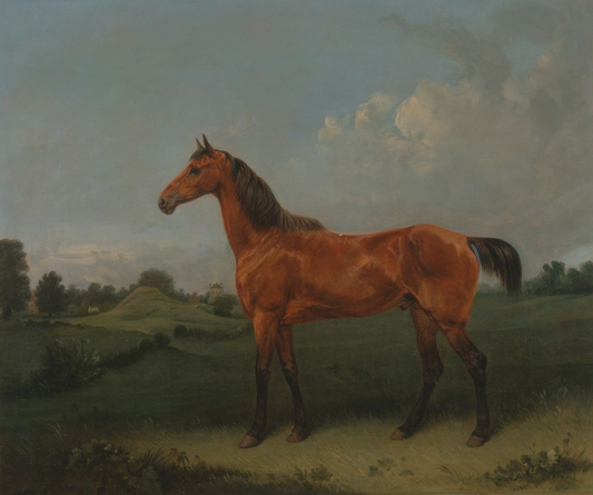 British Bay Horse Antique Art Print