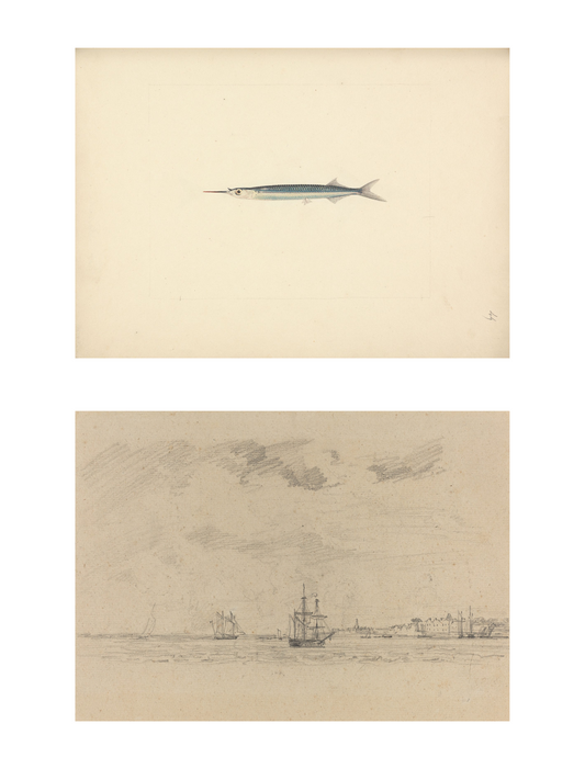 Fish & Coastal Landscape with Shipping Prints